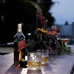 Ero فيلة آرغوس